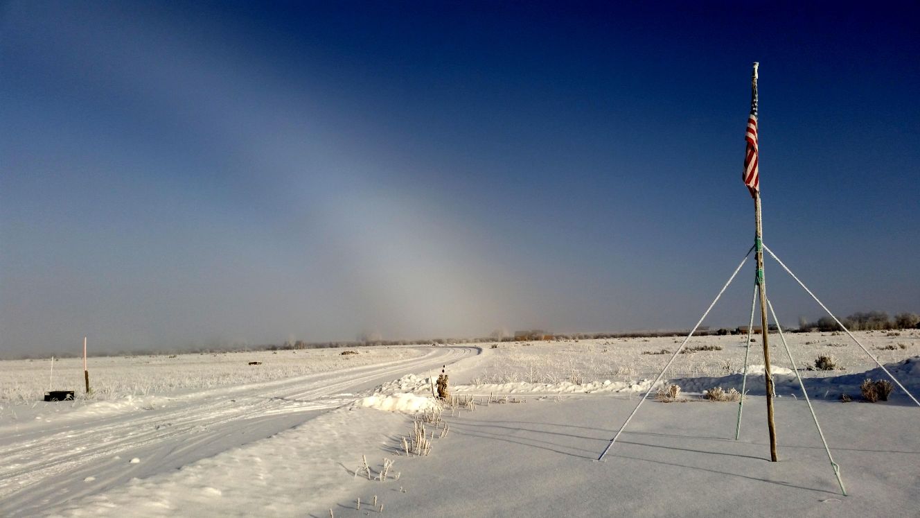 Snow Bow